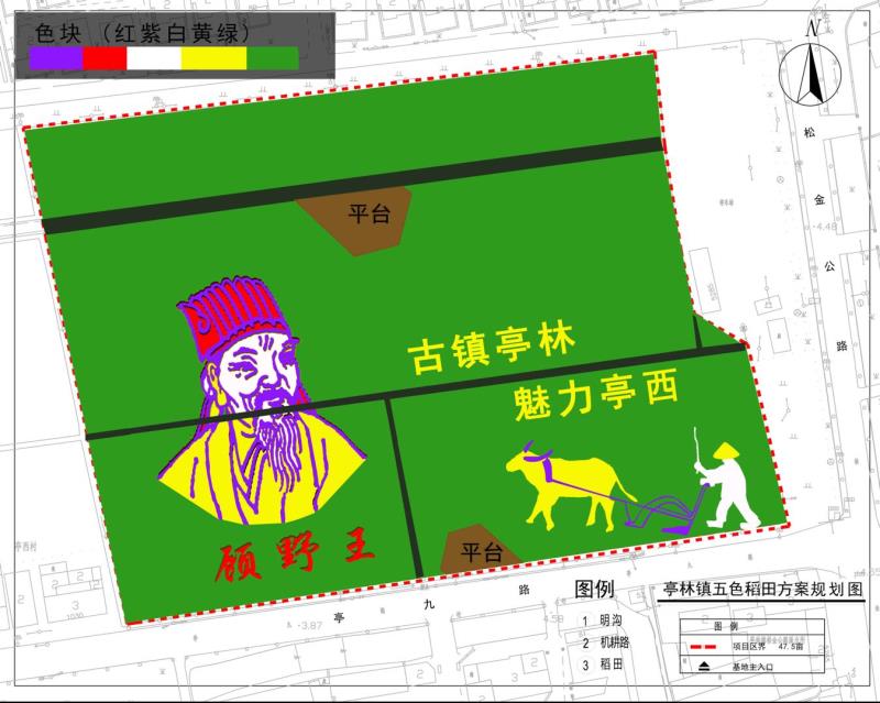 北斗卫星神定点，五彩水稻绘传奇